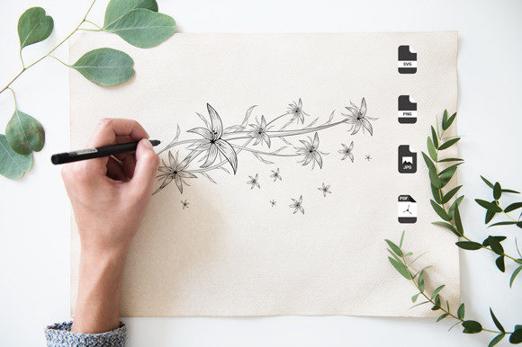 Adults Botany Graphics & Coloring Pages Amp Review