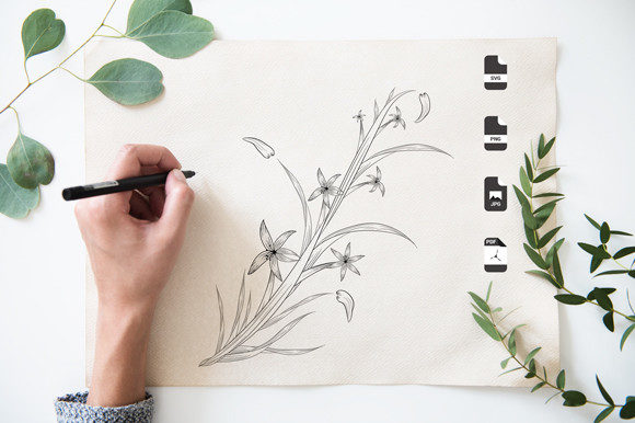 Black and White Line Art Coloring Pages as Graphics