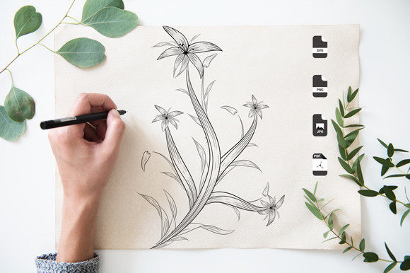 Black and White Line Art Graphics & Coloring Page Amp