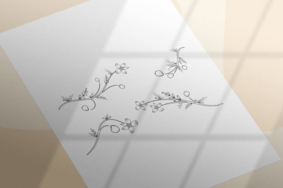 Classic Illustration Floral Set for Graphics & Coloring