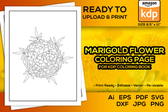 Marigolds Flower Coloring Pages Amp Graphics Review