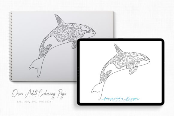 Orca Adult Coloring Page: Graphics & Coloring Pages Amp Review